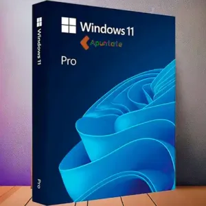 Windows 11 Pro OEM